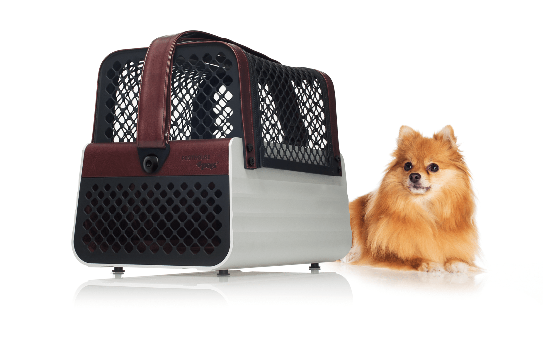 Penthouse Casablanca