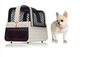 Penthouse Los Angeles